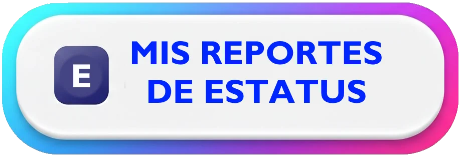 REPORTE DE ESTATUS